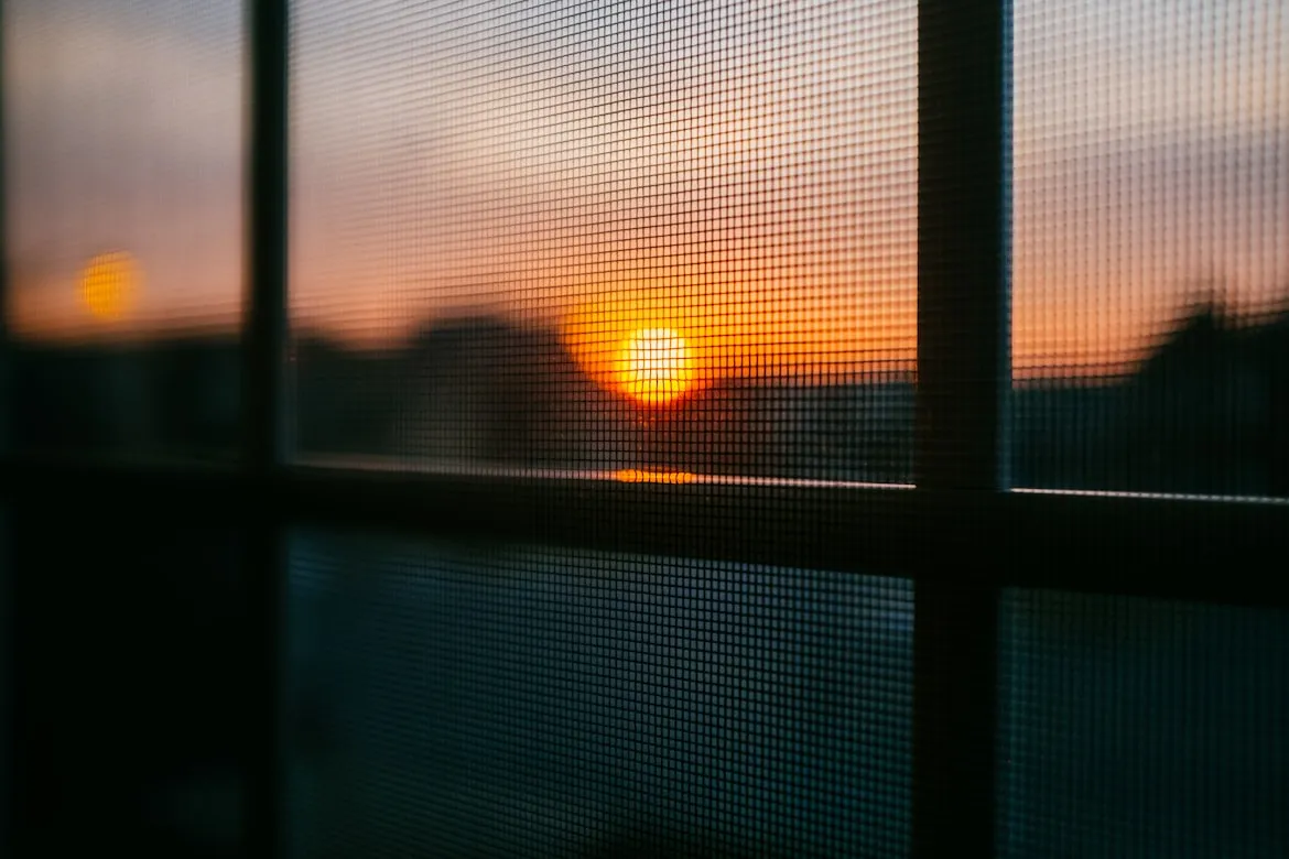 Darrin Henein from Unsplash