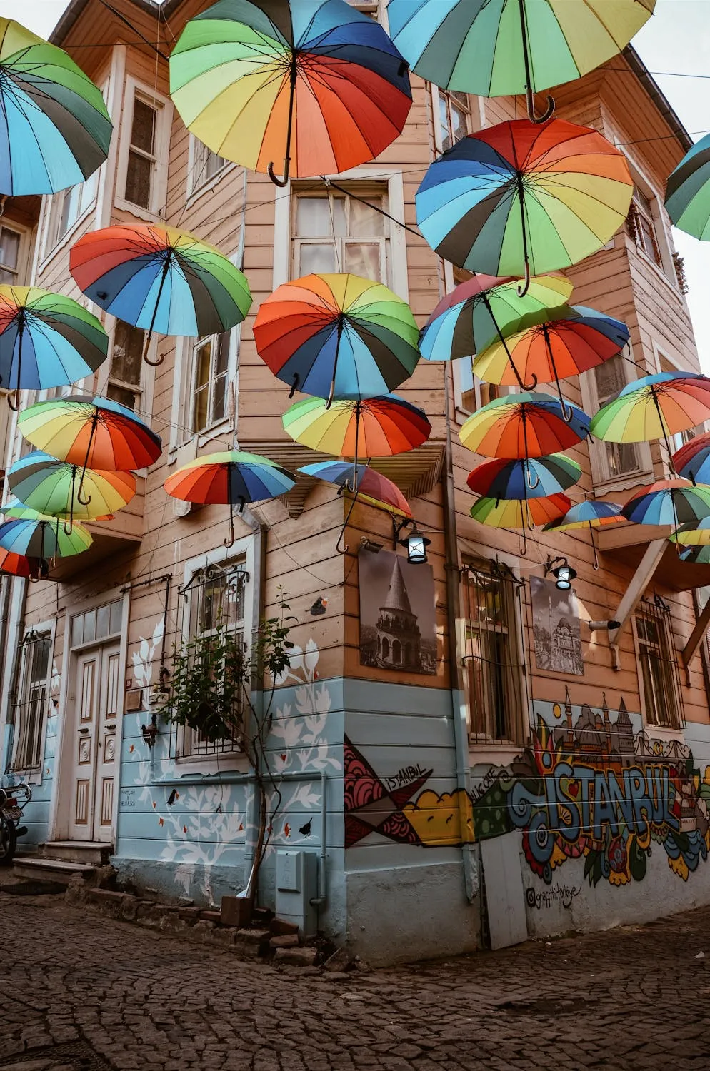 Gül Işık on Pexels
