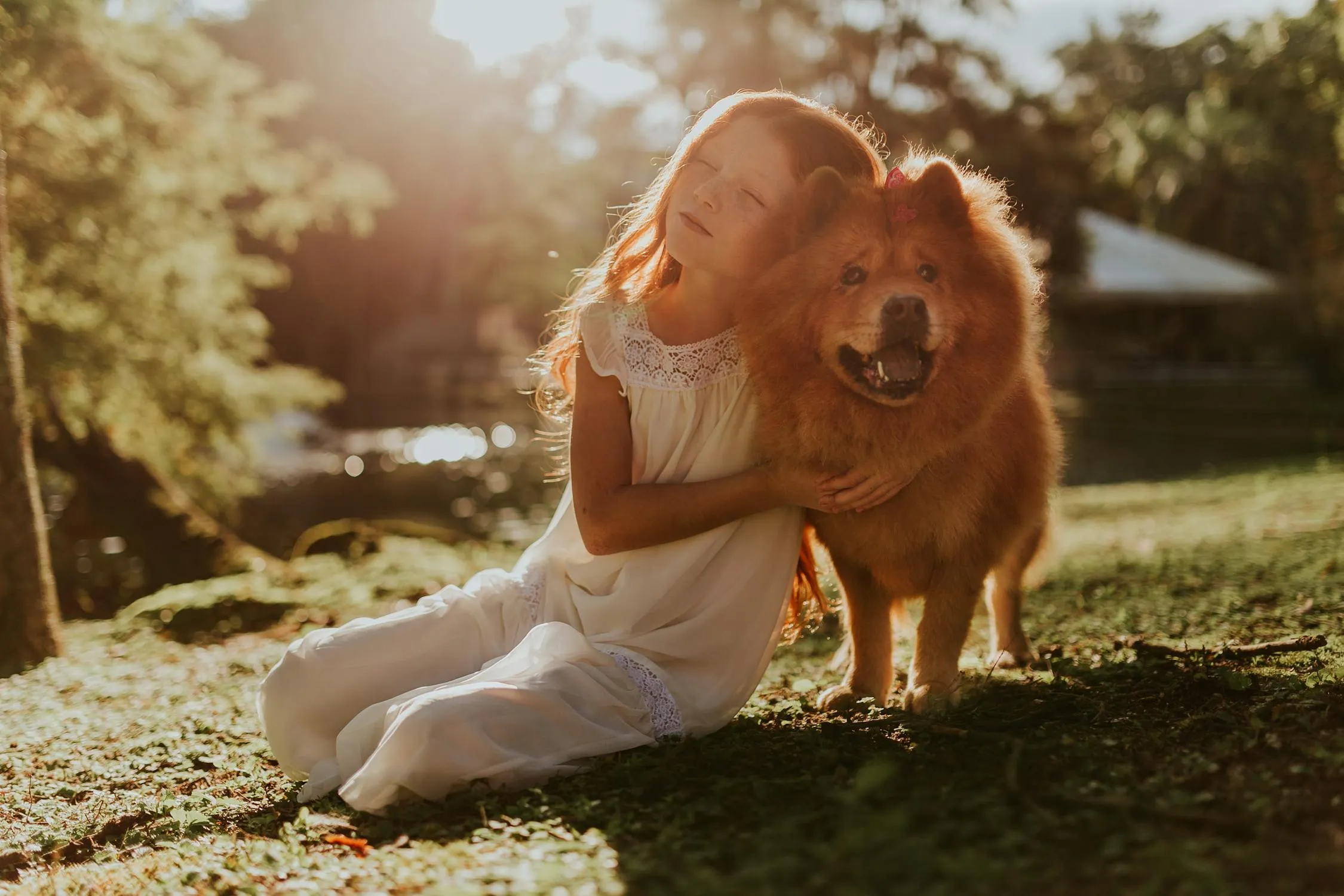 Matheus Bertelli on Pexels