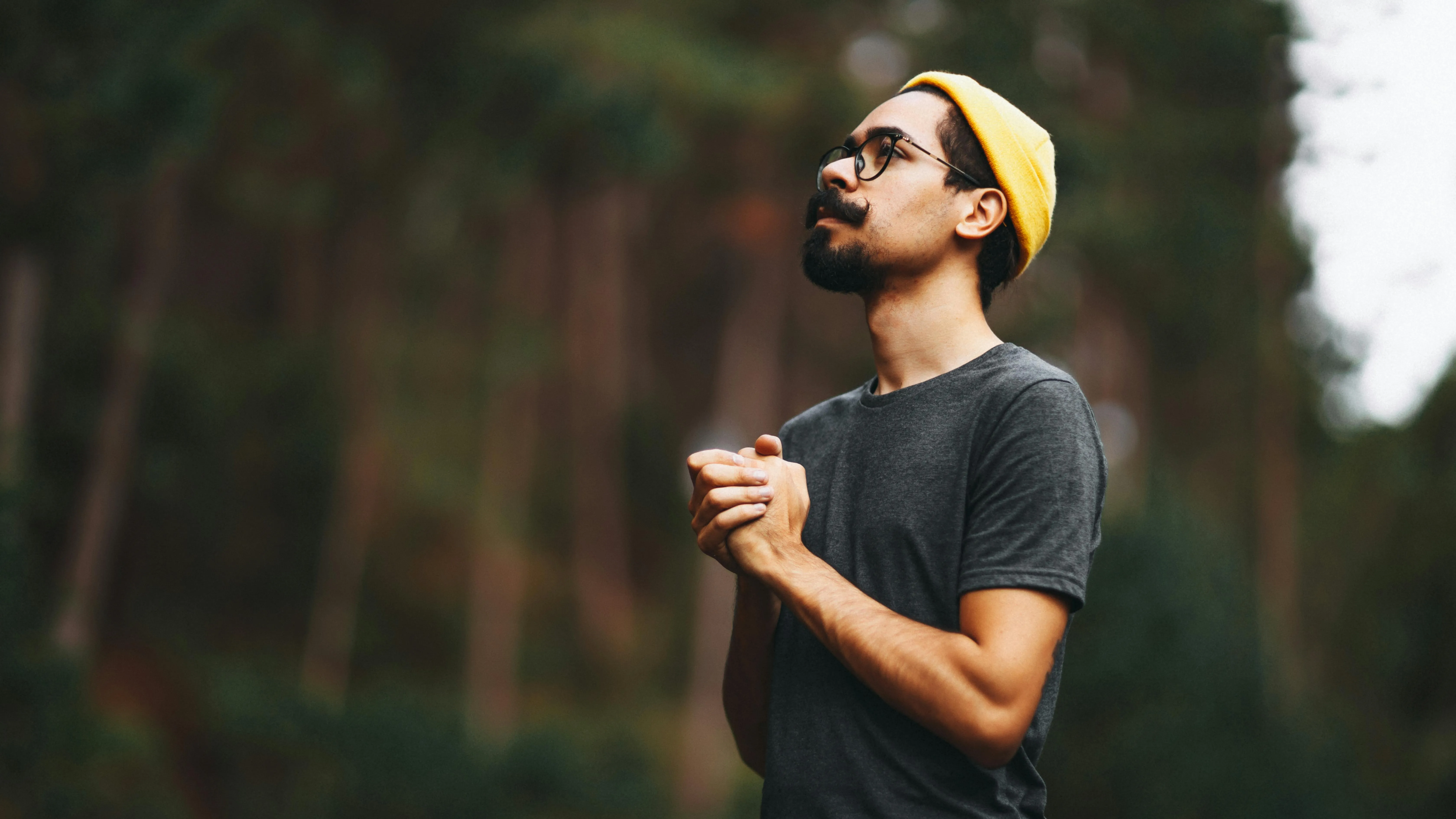 Matheus Bertelli on Pexels