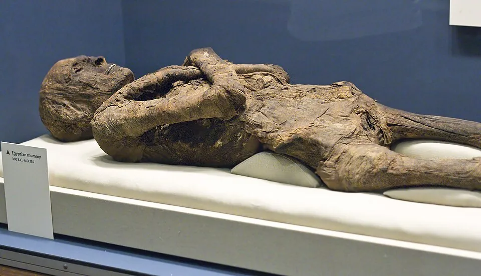 C Watts on Wikimedia Commons