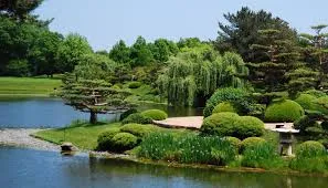 Image from Forest Preserves of Cook County 