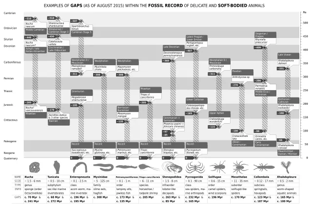 Sceptic view on Wikimedia Commons