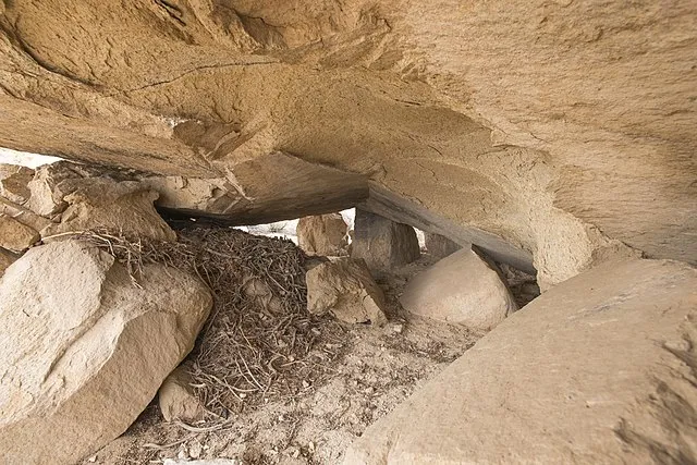 Joshua Tree National Park on Wikimedia Commons