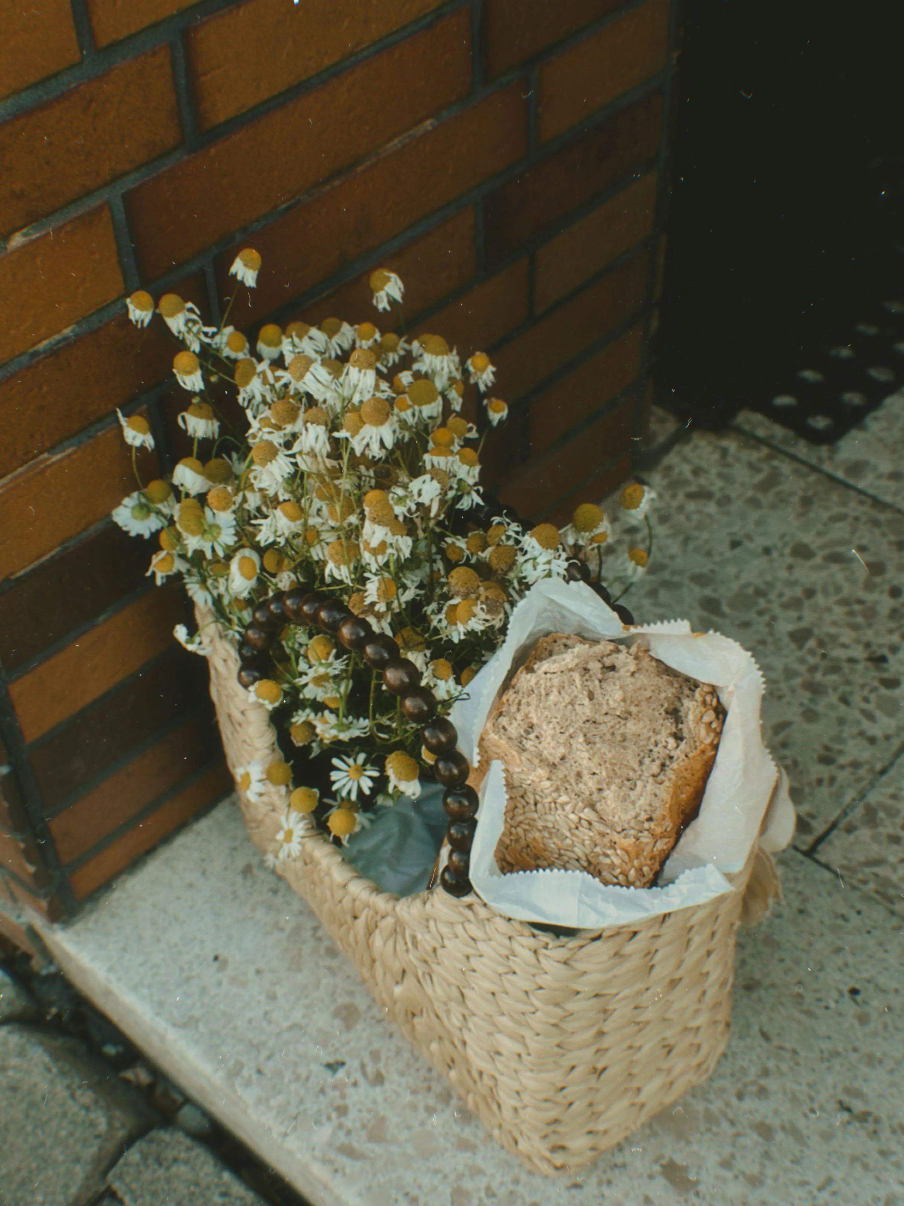 Ruxanda Photography on Pexels