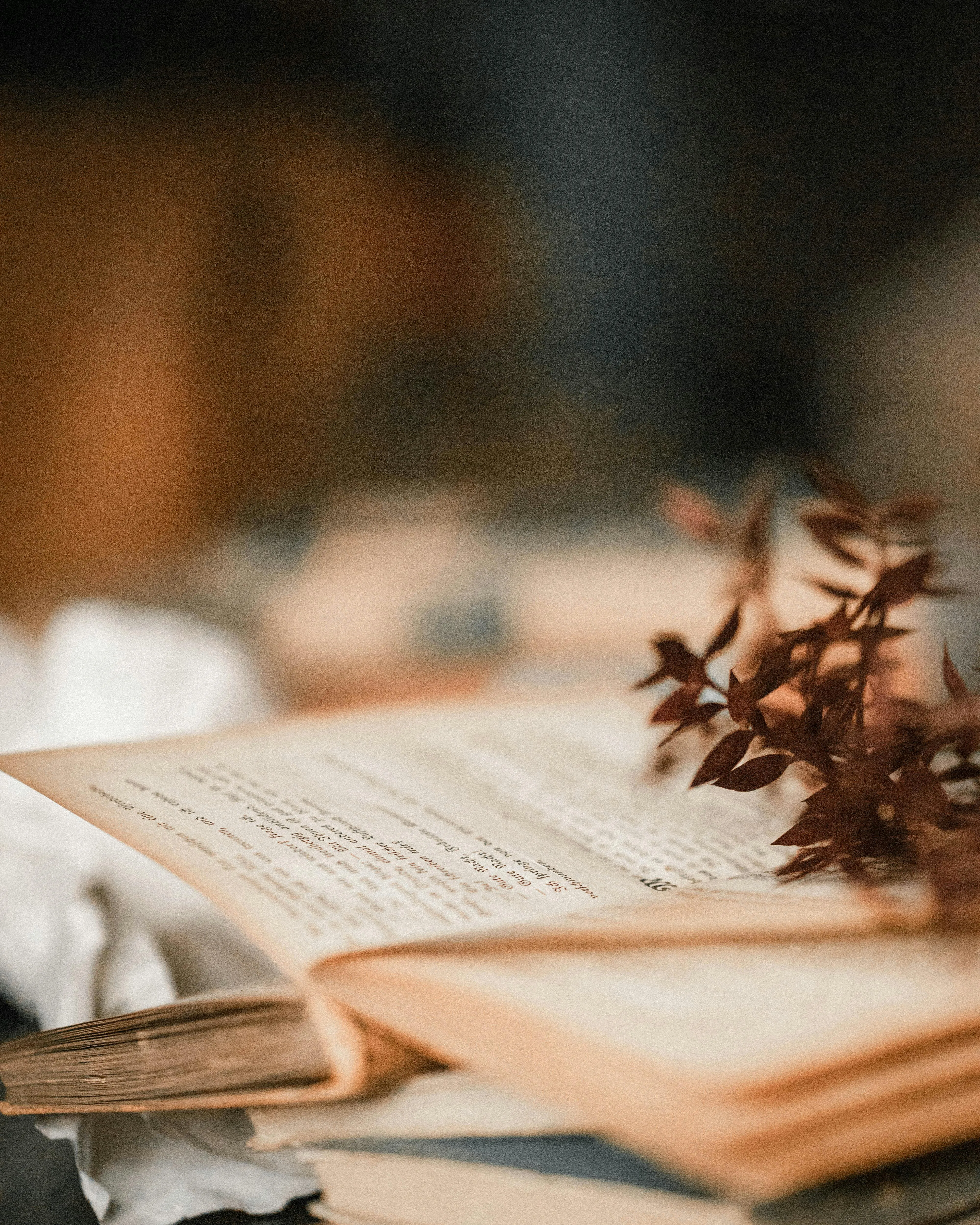 Melissa Thomas on Pexels