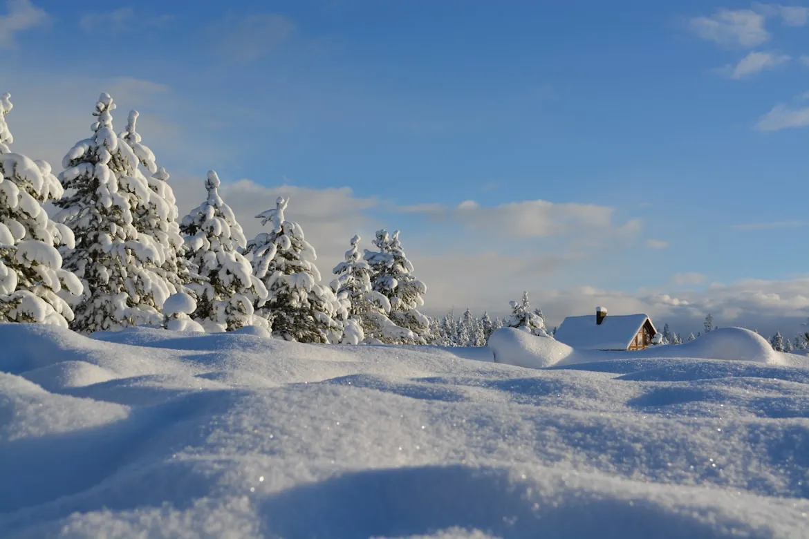 18 Winter Sounds That Signaled a Long Night
