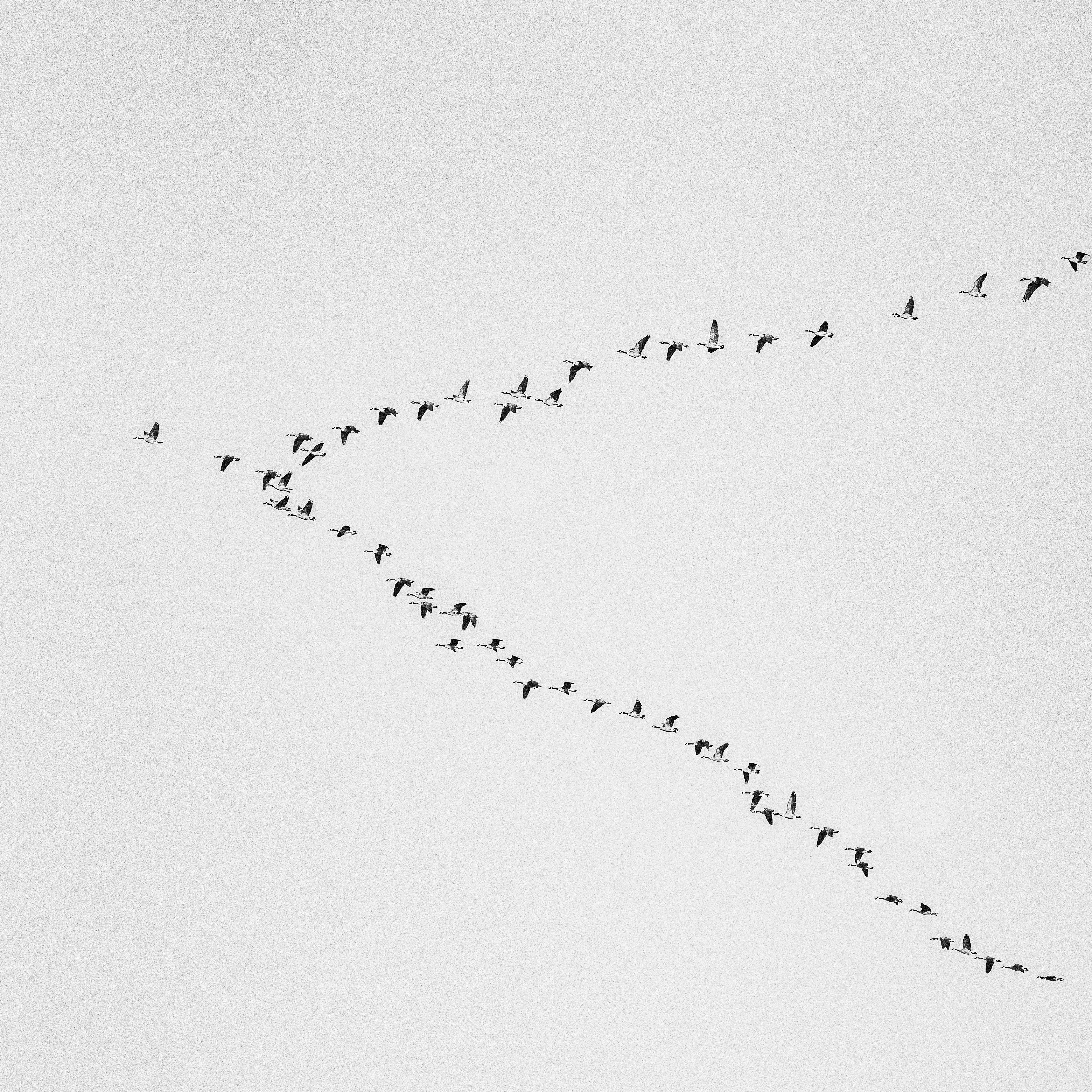Marvin Filmaker on pexels