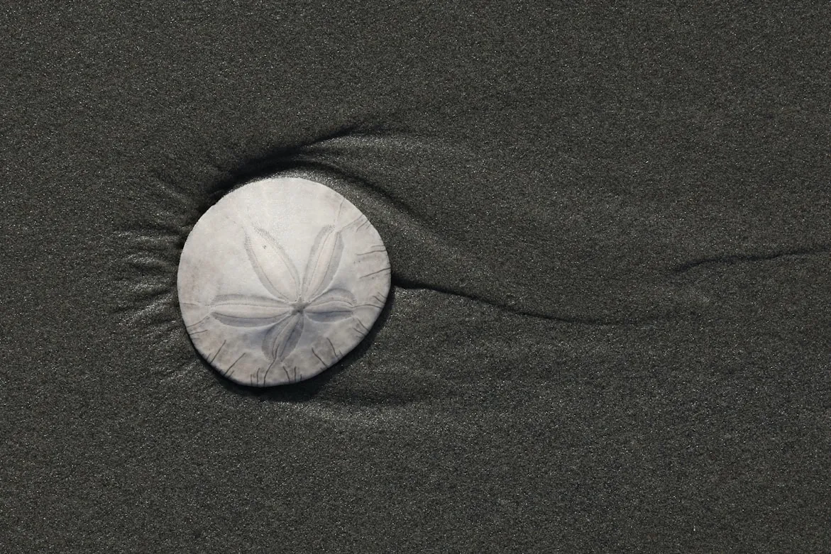Mike Dierken from Unsplash