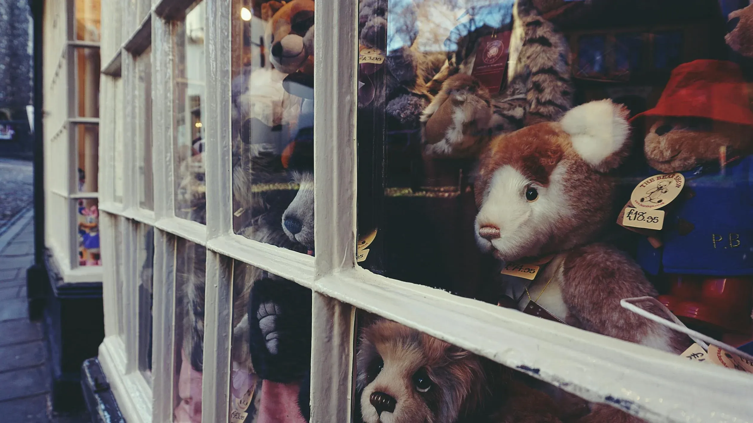  Suzy Hazelwood on Pexels