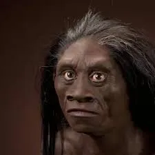Image from The Smithsonian Institution's Human Origins