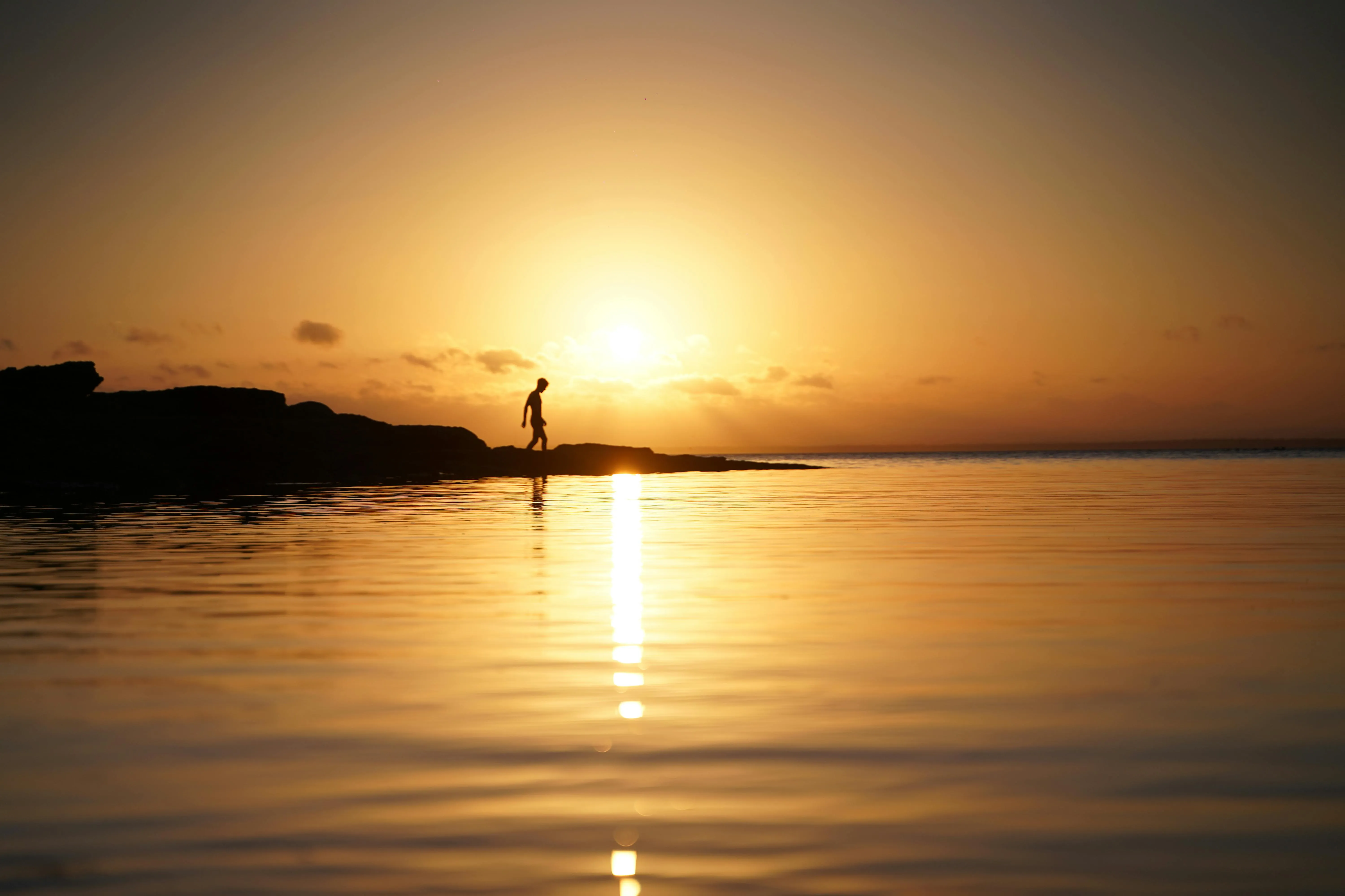 Max Ravier on Pexels