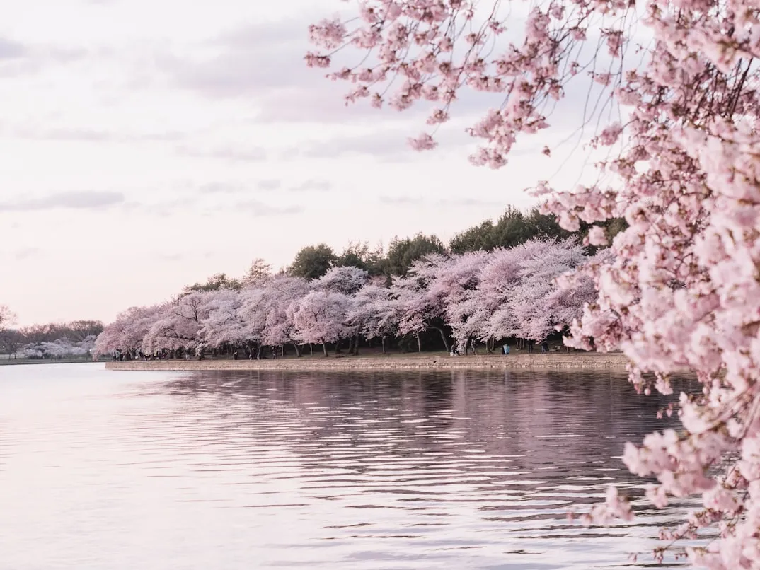 10 Ways Spring Encouraged Fresh Starts