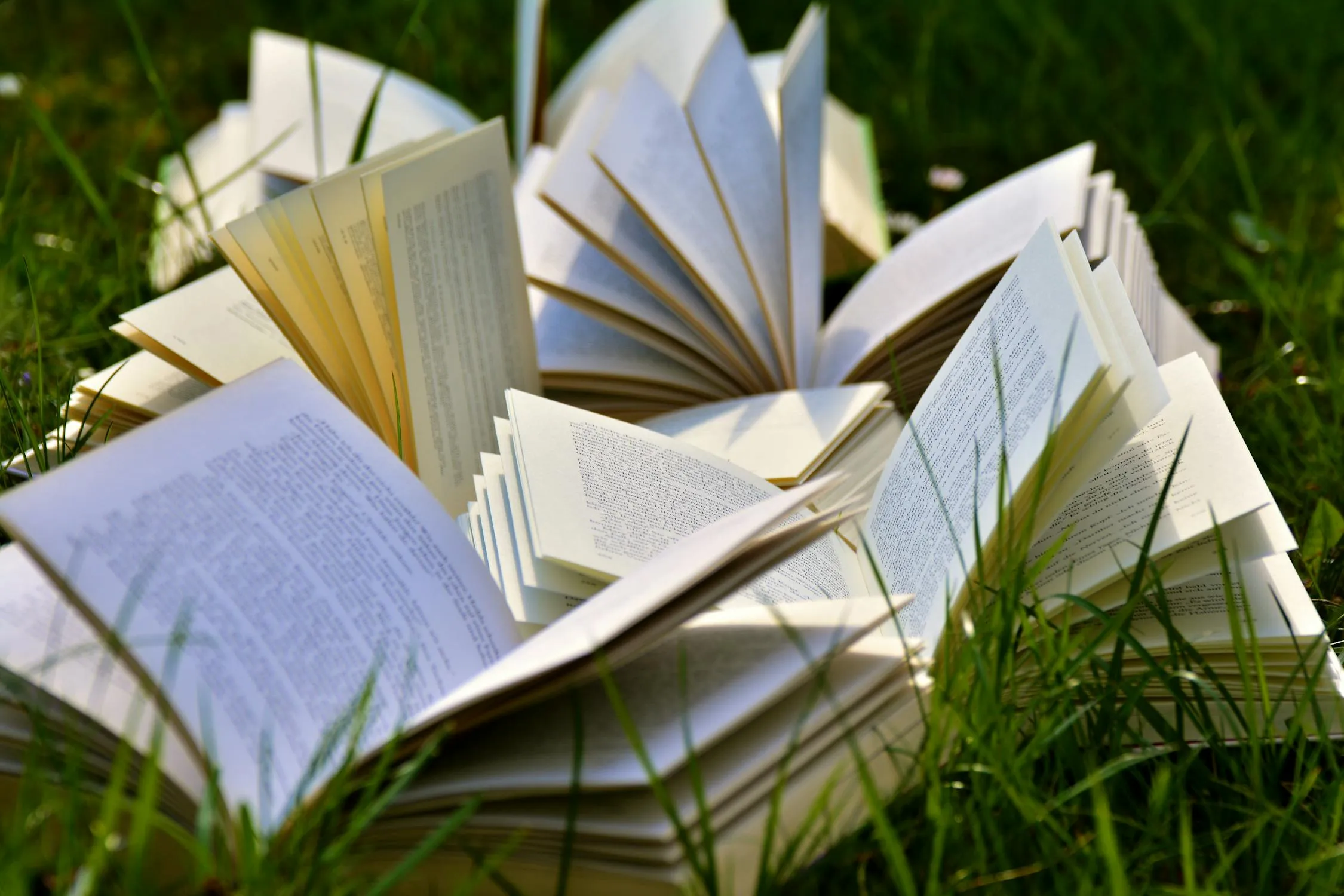 12 Books Everyone Claims to Have Read but Probably Didn’t, in Celebration of World Book Day