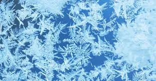 Image from Swirl Freeze
