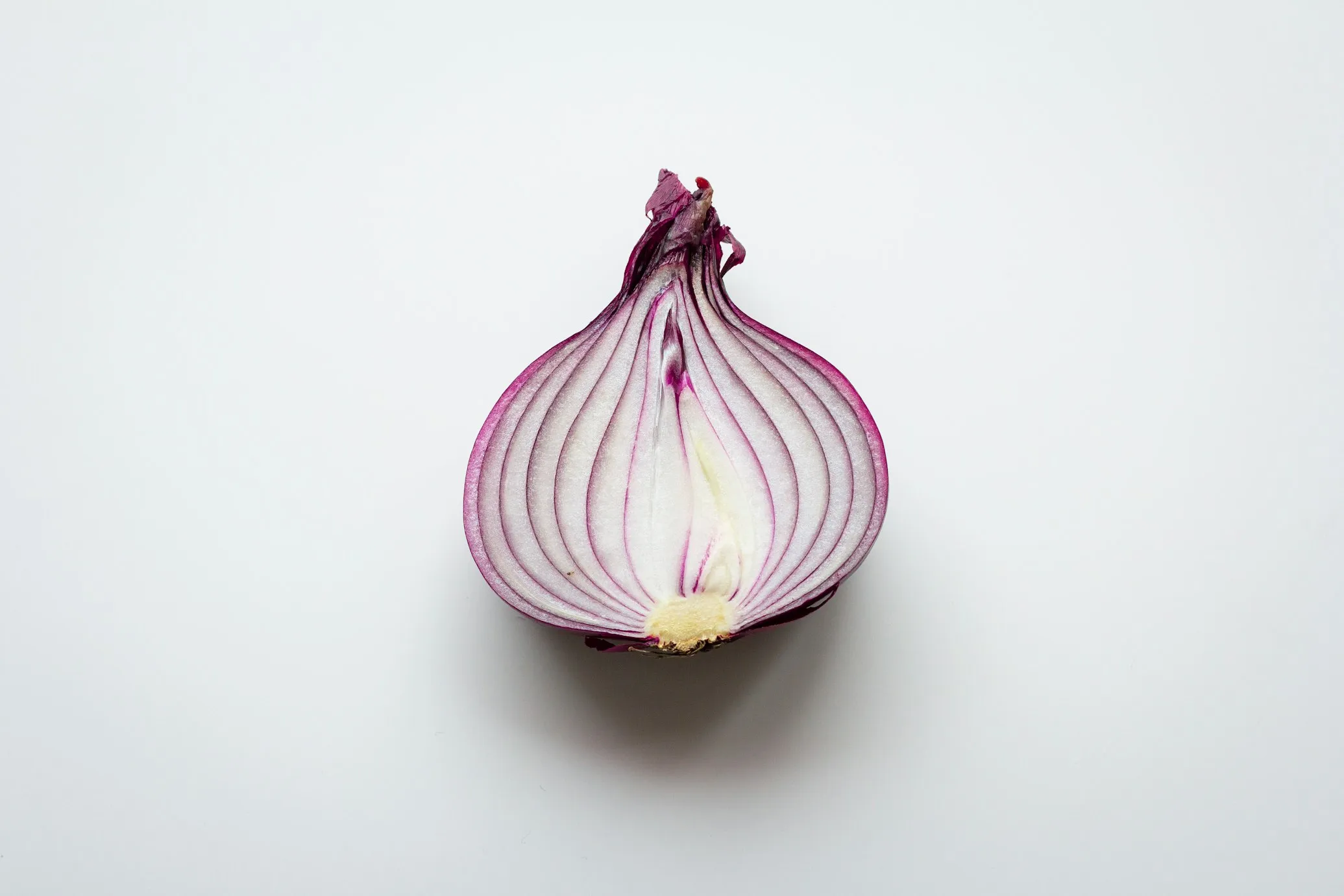 K8 from Unsplash