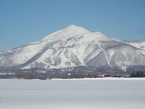 Image from Wikipedia