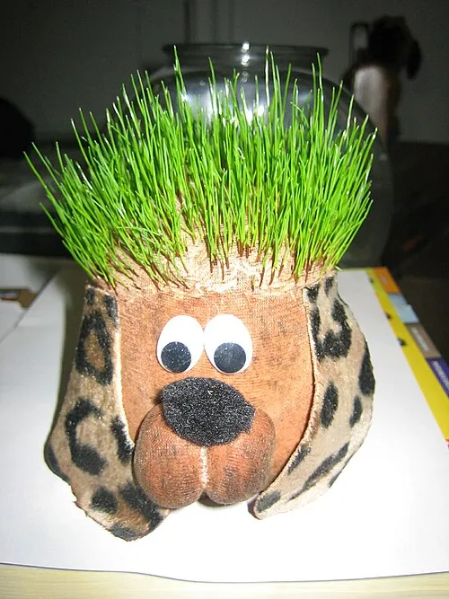 Someone Needs a Haircut on Wikimedia Commons
