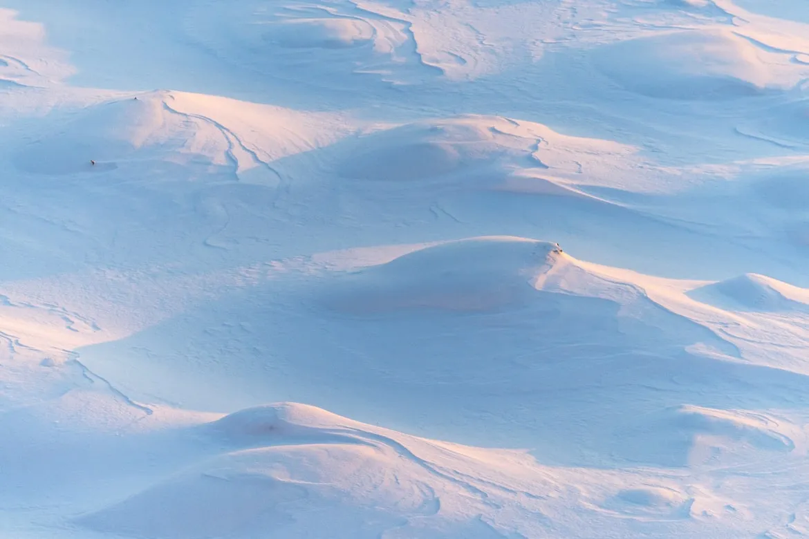 Ant Rozetsky from Unsplash