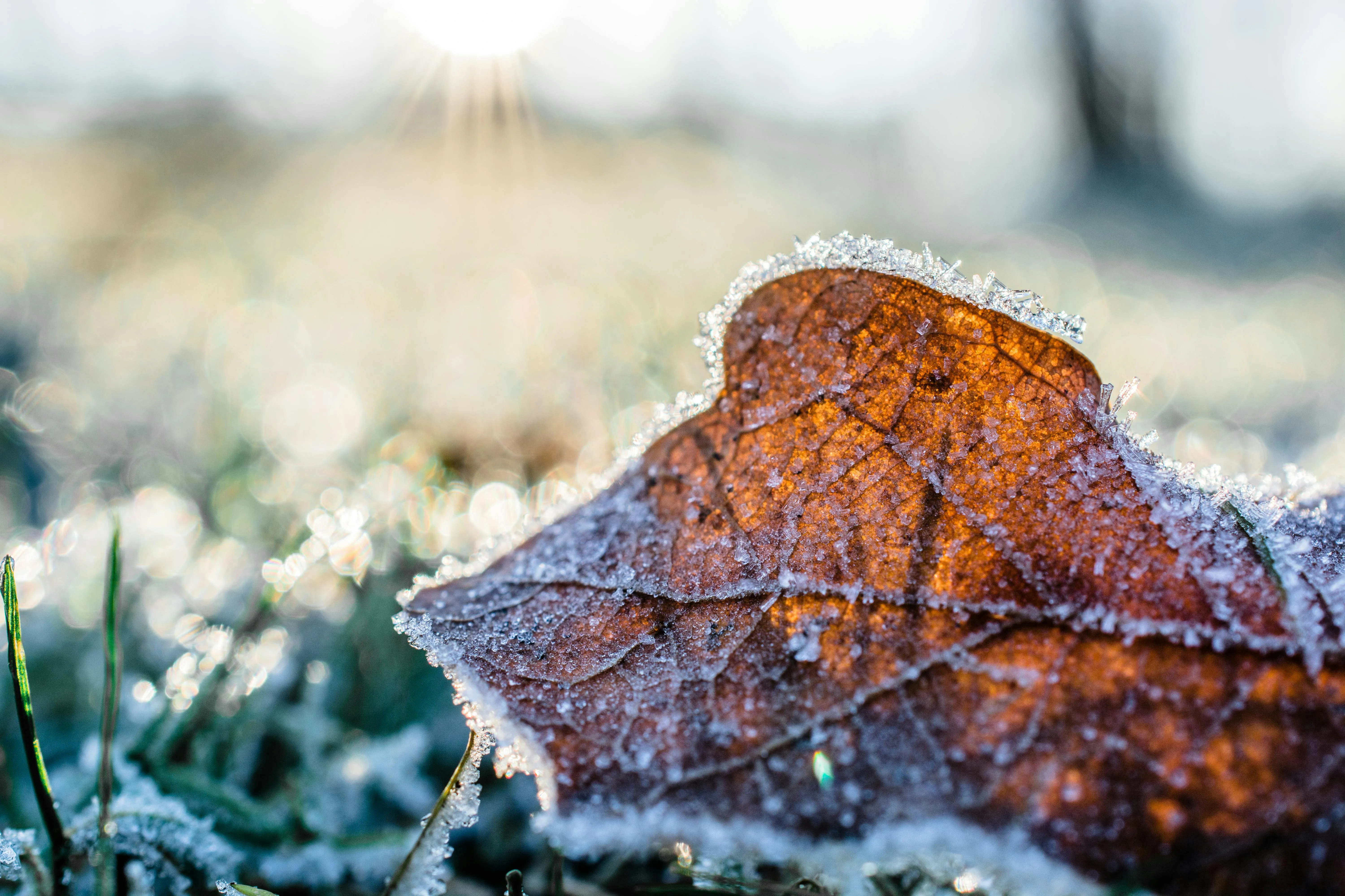 photos_by_ginny on pexels