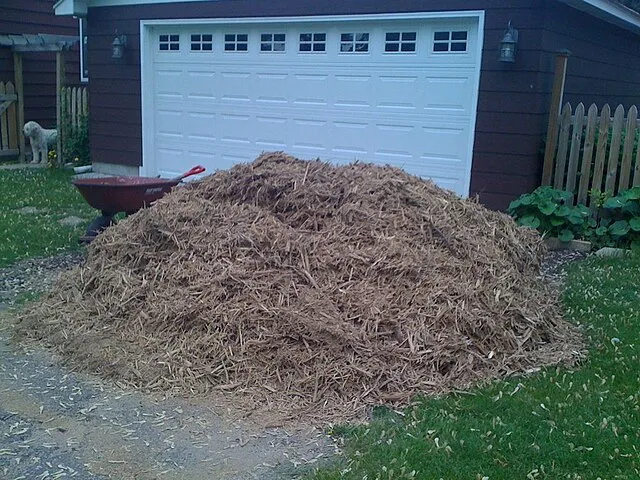 15 Ways People Prepared Yards After Winter