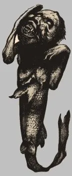 Image from Wikipedia
