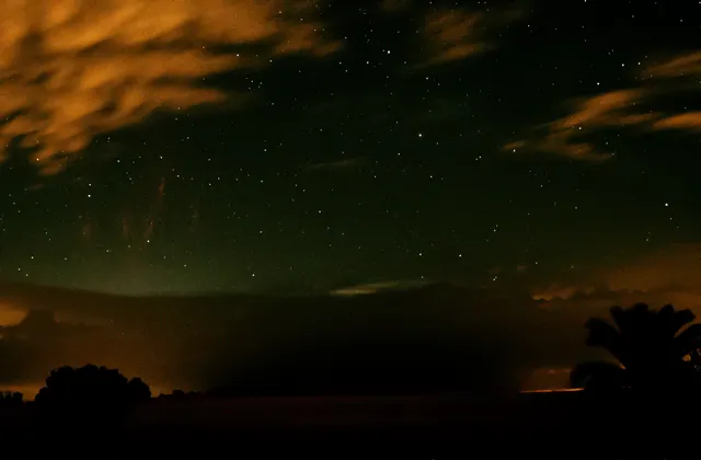 Welias on Wikimedia Commons