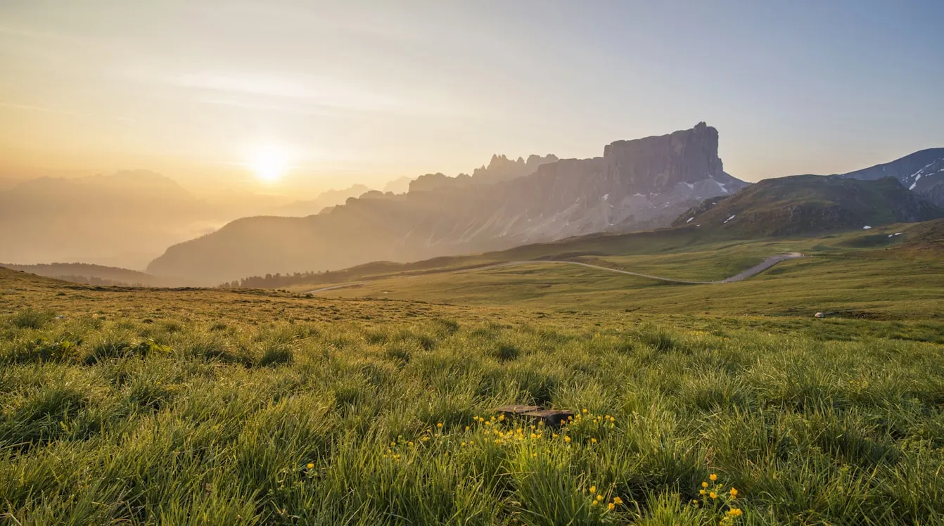 Ales Krivec from Unsplash