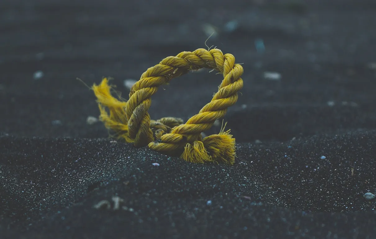 Rui Silvestre from Unsplash