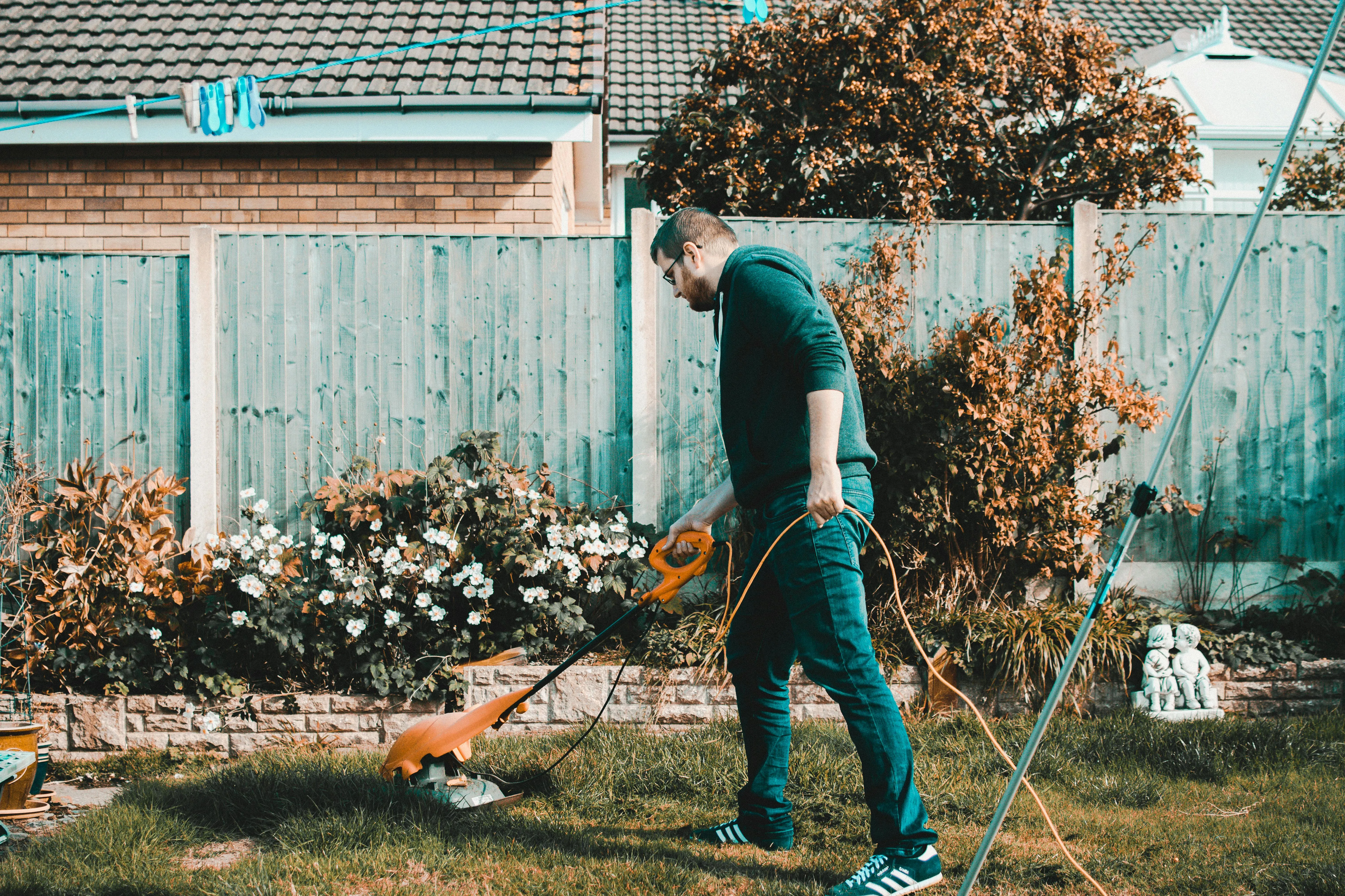 Lisa from Pexels on pexels