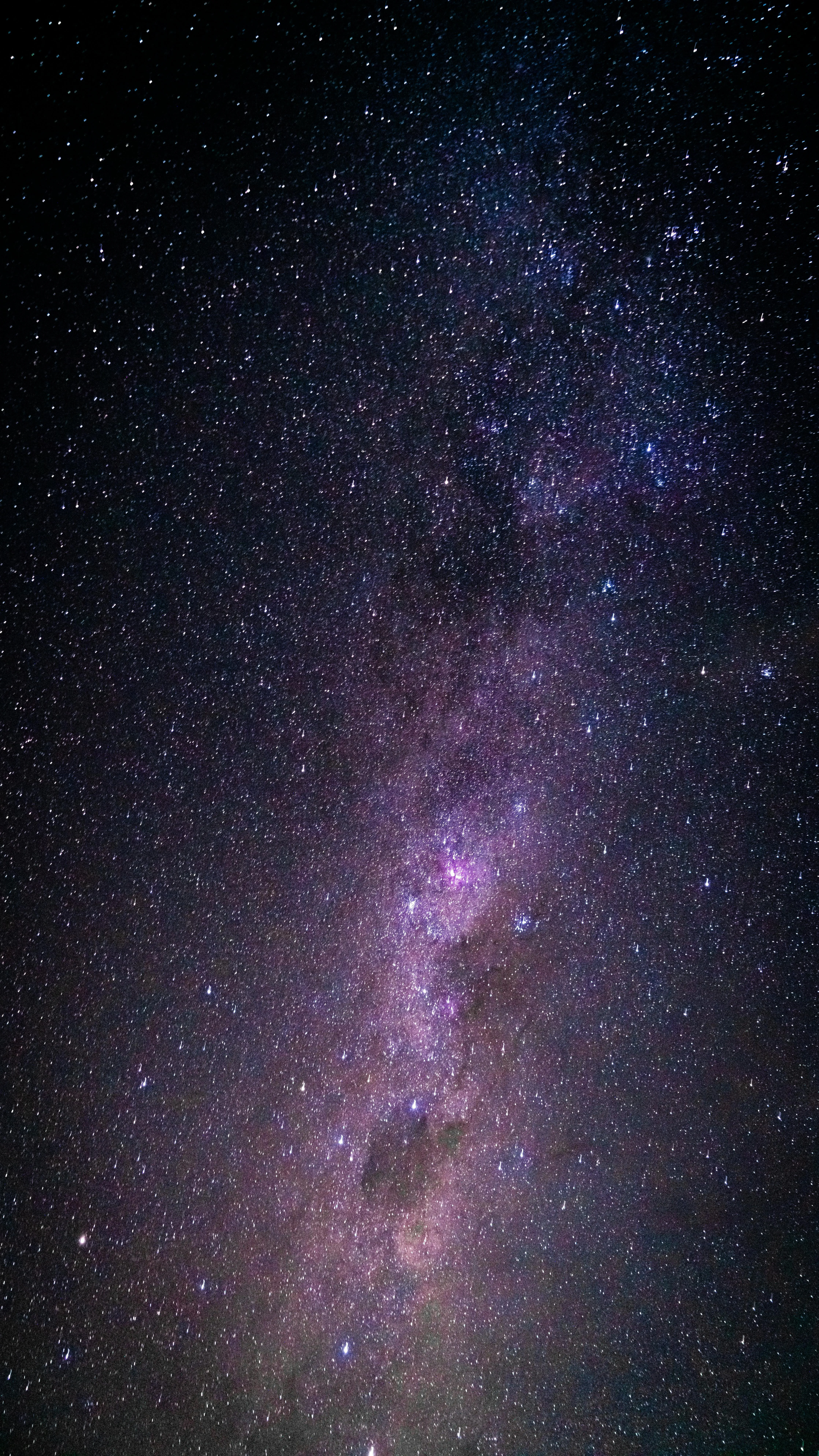  Stevan Cetojevic on Pexels