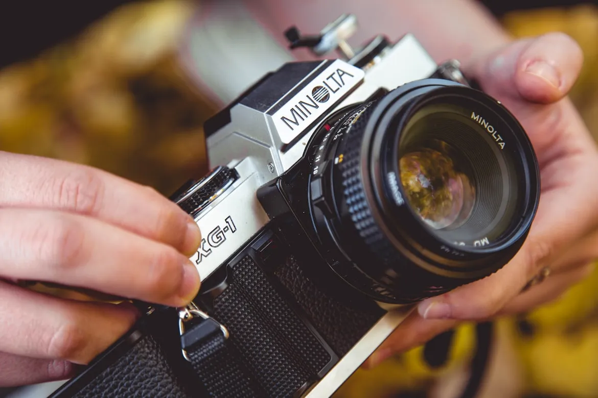 Alora Griffiths on Unsplash