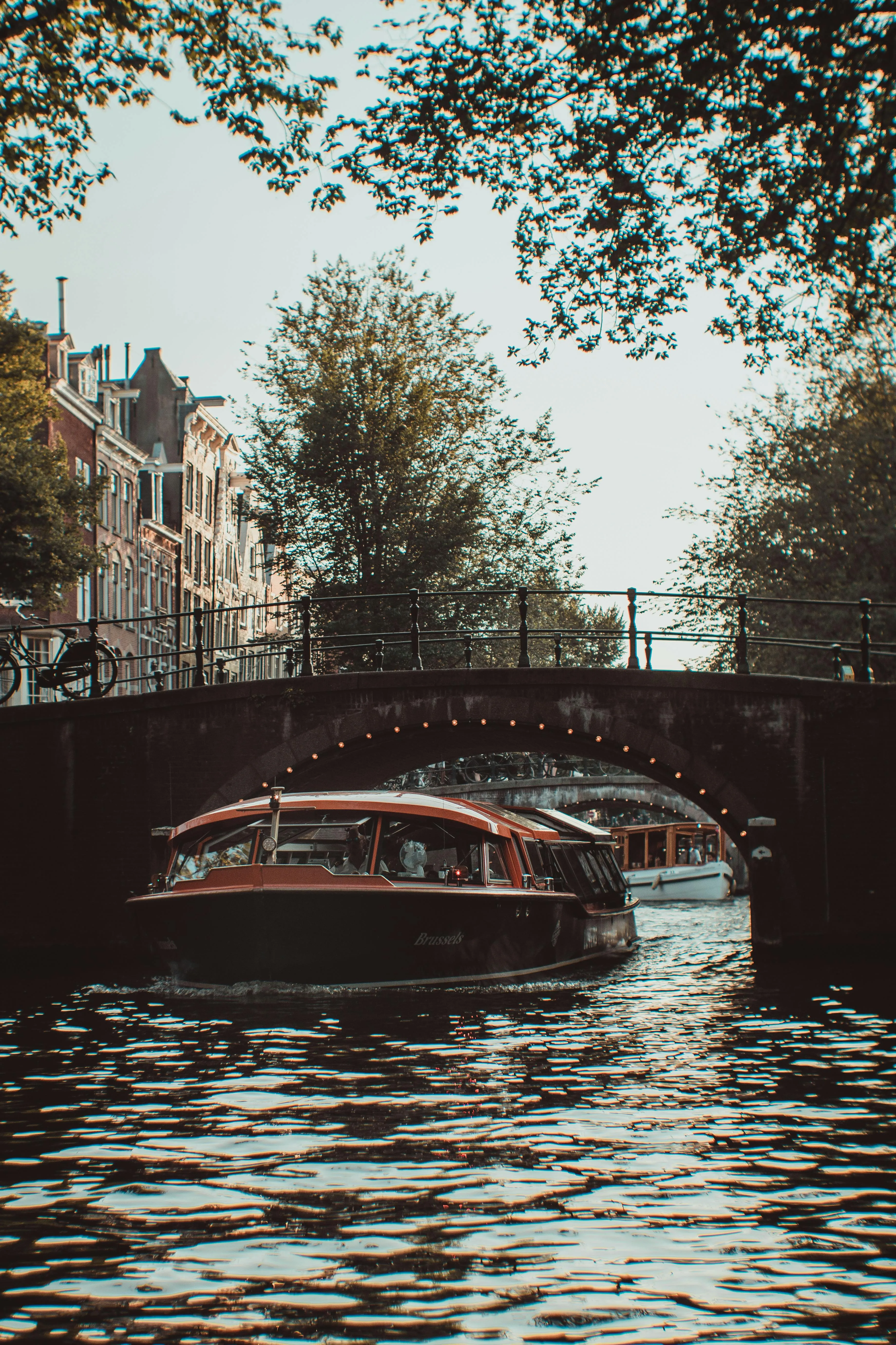 Jean Carlo Emer on pexels