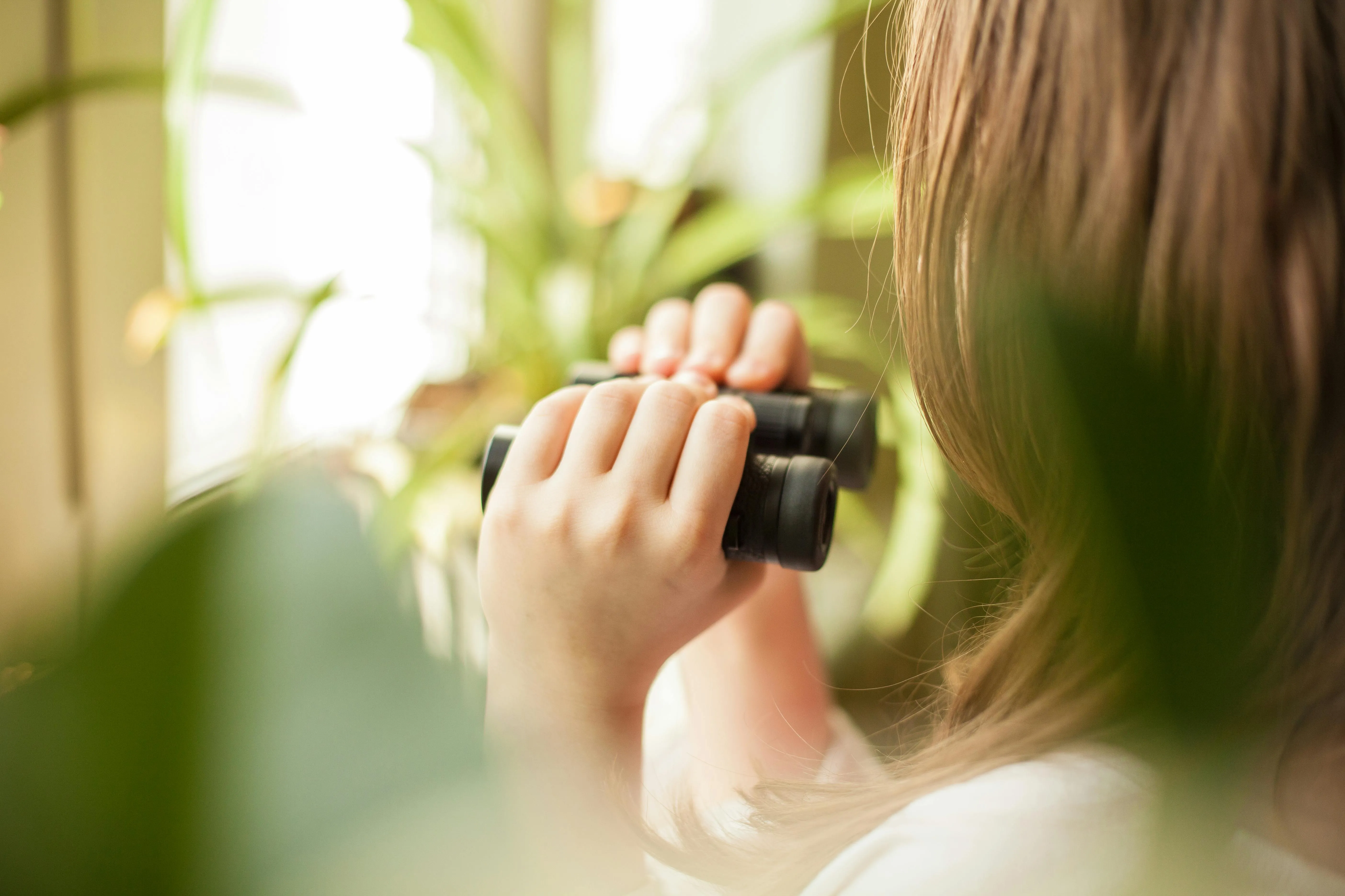Anastasia Martynova on Pexels