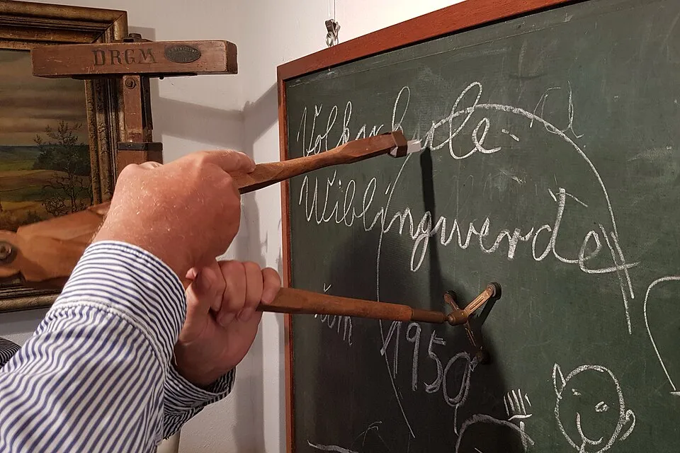 Asio otus on Wikimedia Commons