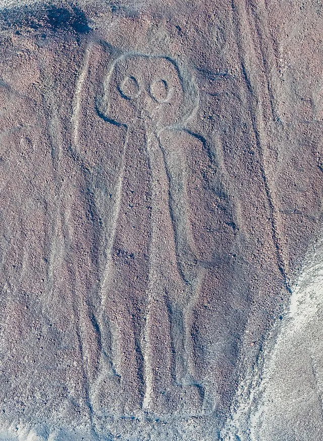 Diego Delso on Wikimedia Commons 