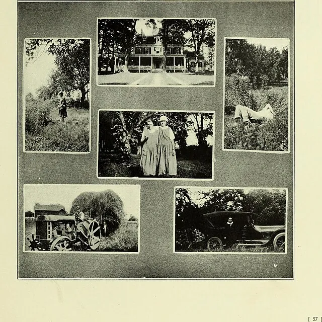 Internet Archive Book Images on Wikicommons