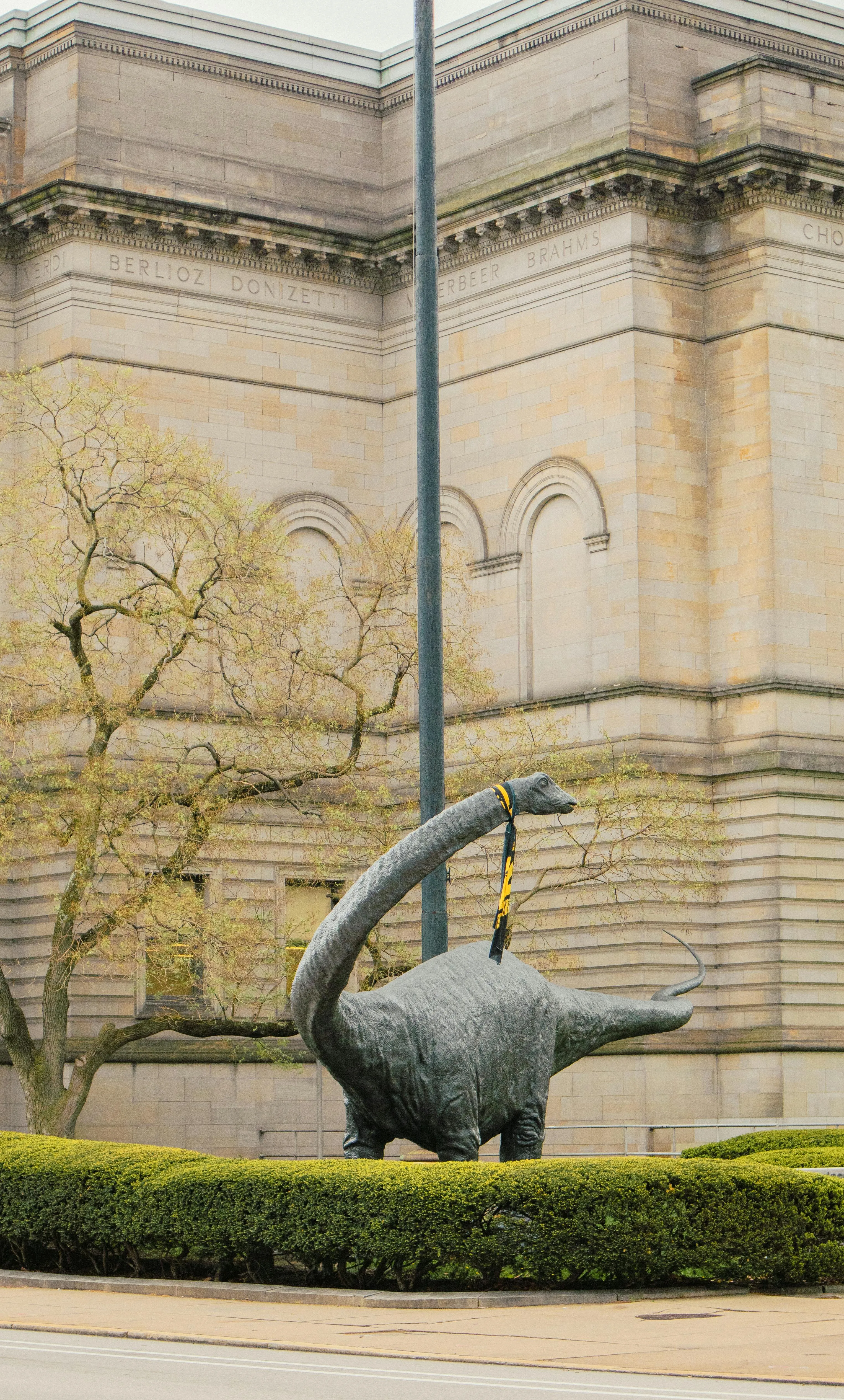 Whittington on Pexels