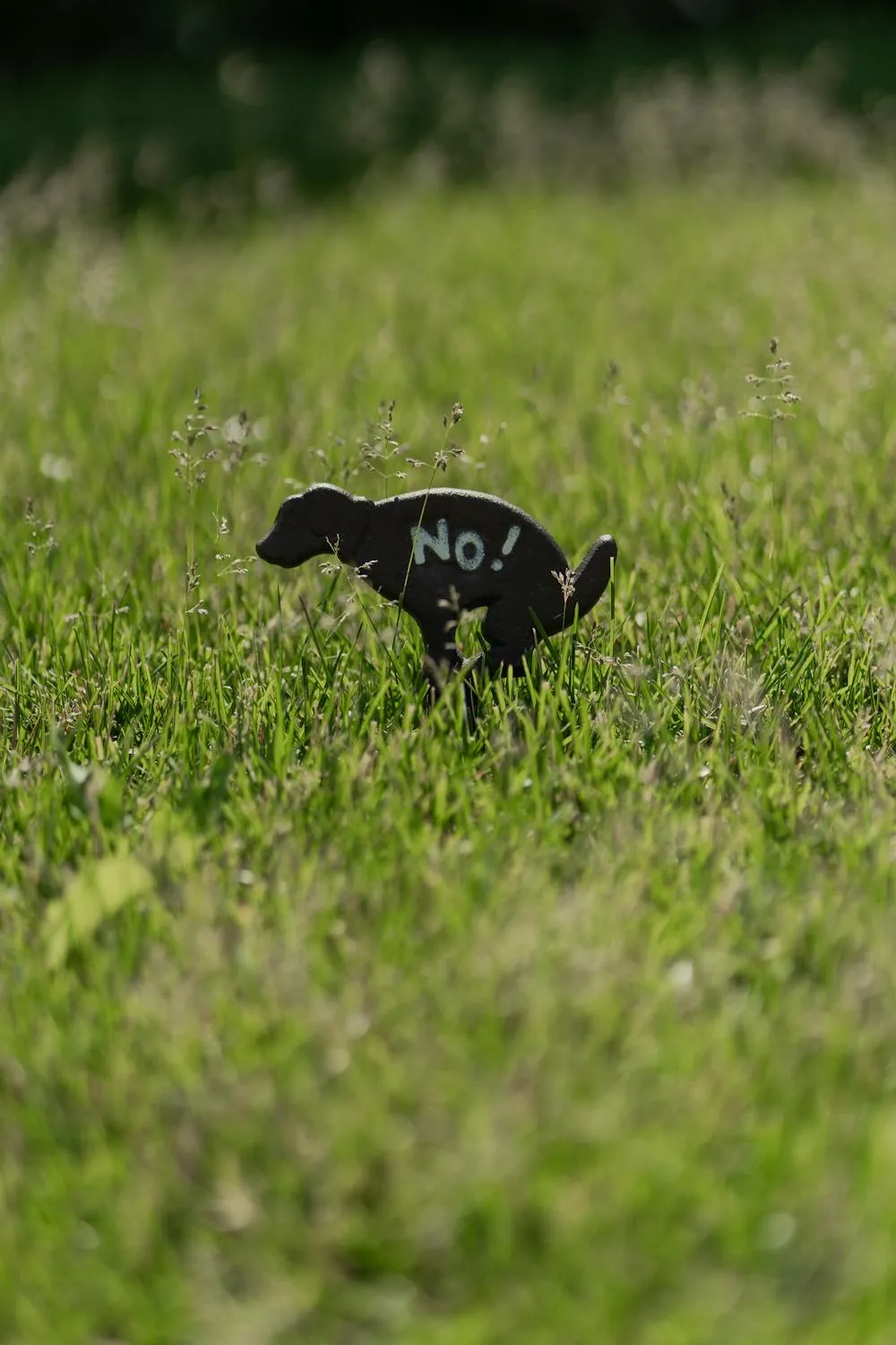 Wolf Art on Wikimedia Commons 