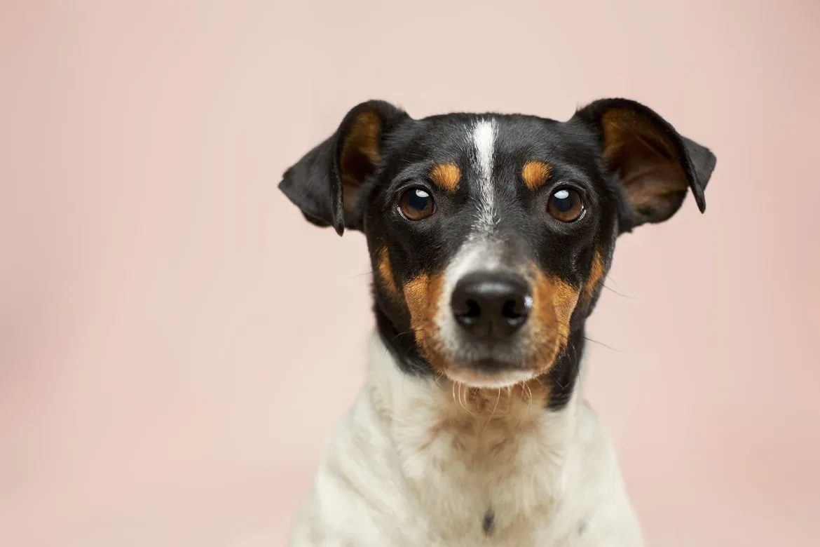 15 Animals Historically Kept Around Homes