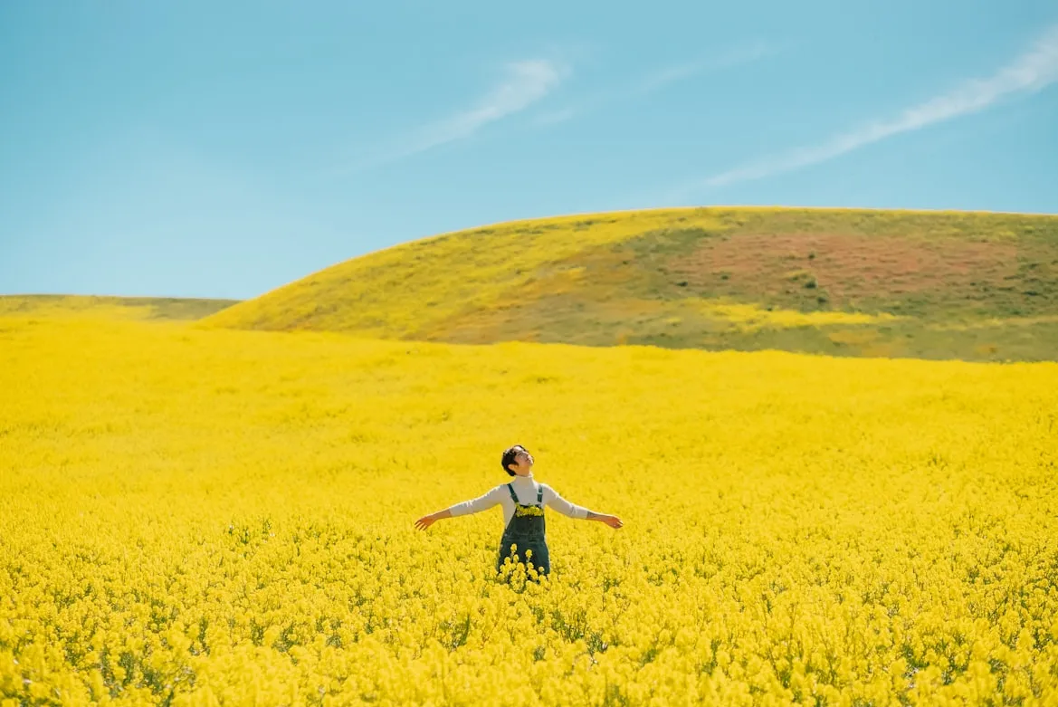 Josh Hild on Unsplash