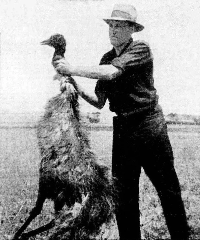 Unknown author on Wikimedia