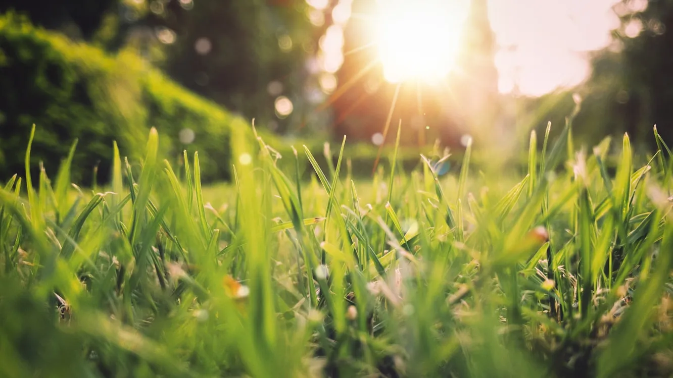 10 Spring Practices That Brought a Sense of Order