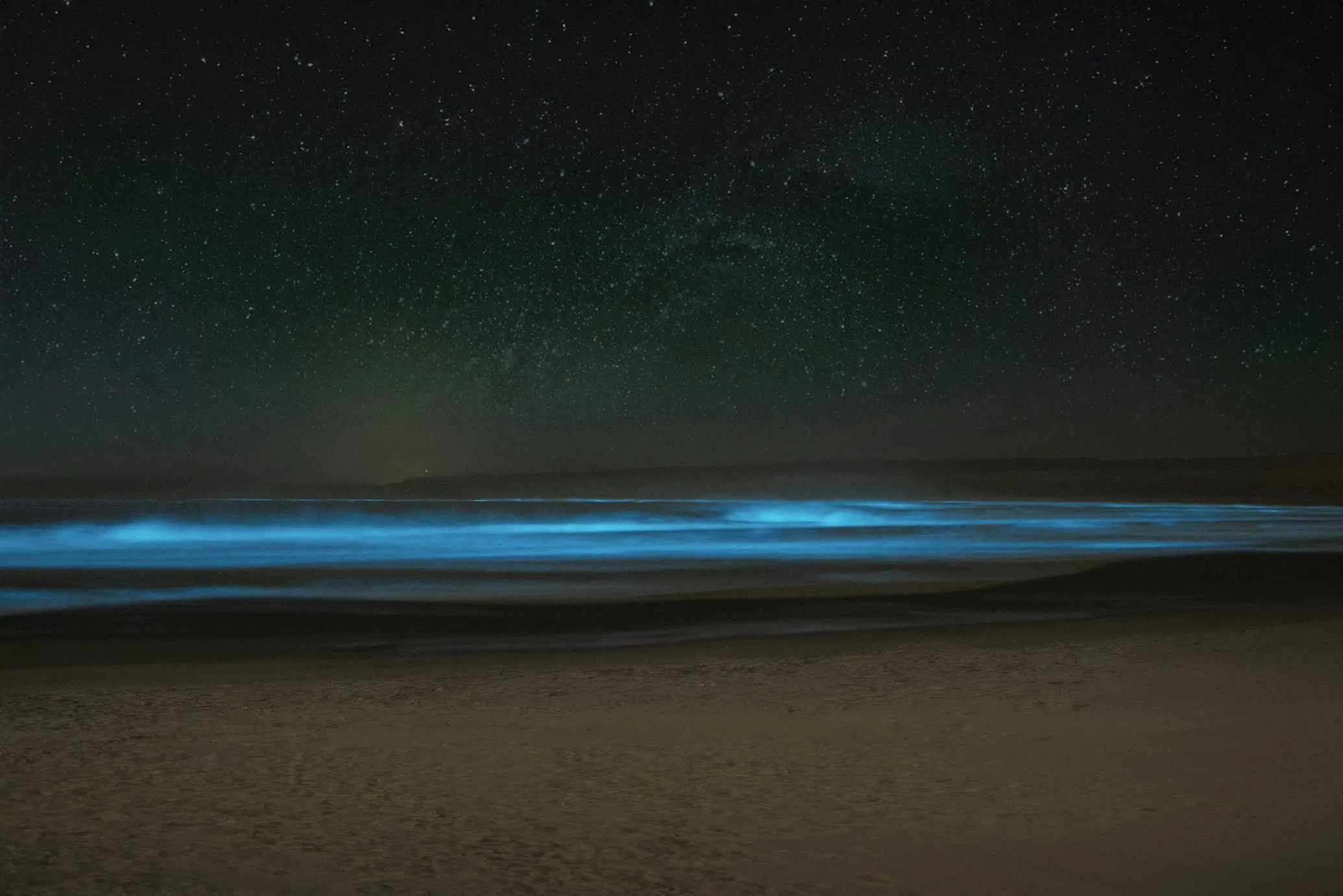 Alexis Magnone on Unsplash