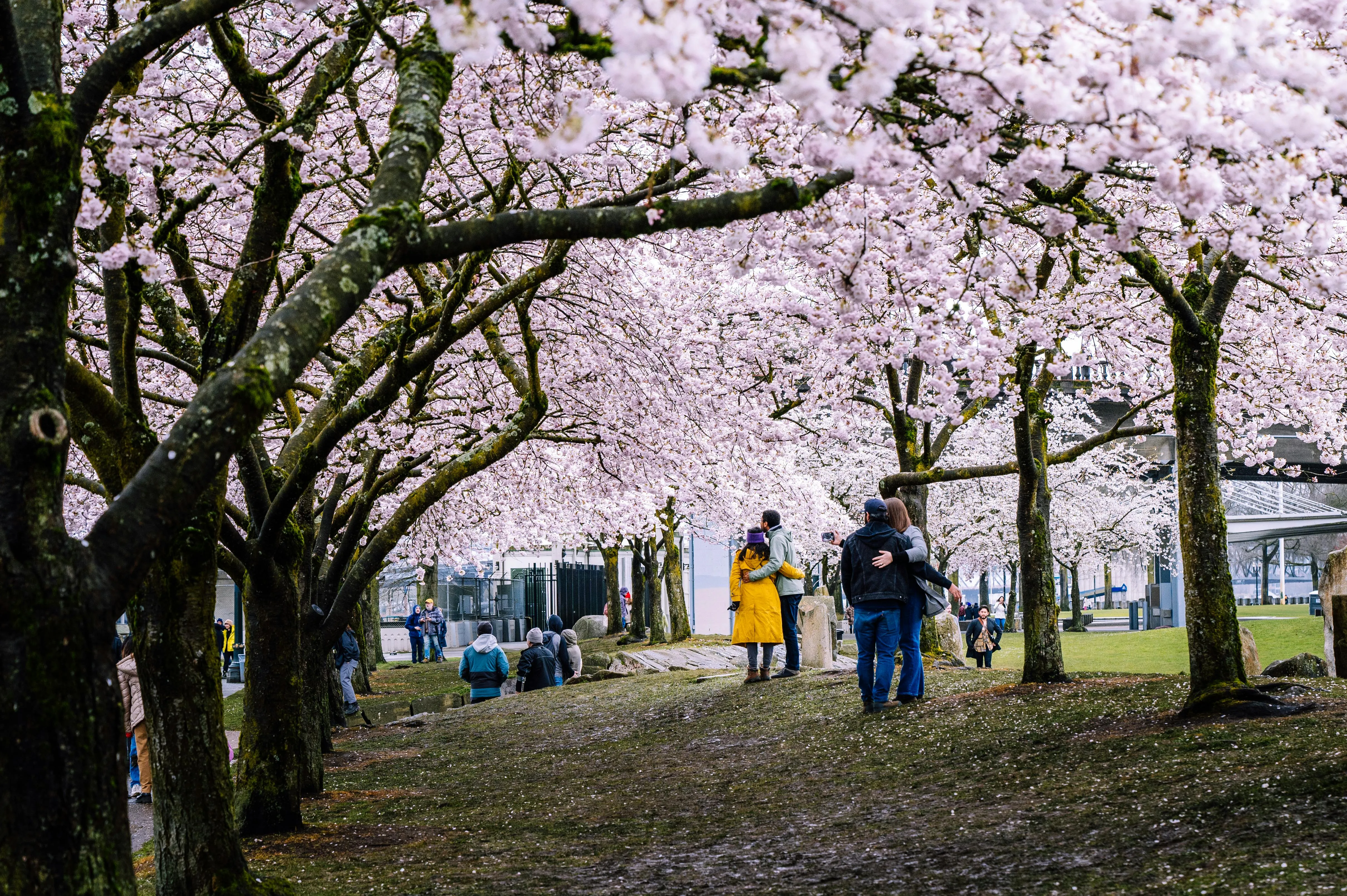 20 Natural Signs That Spring Had Arrived