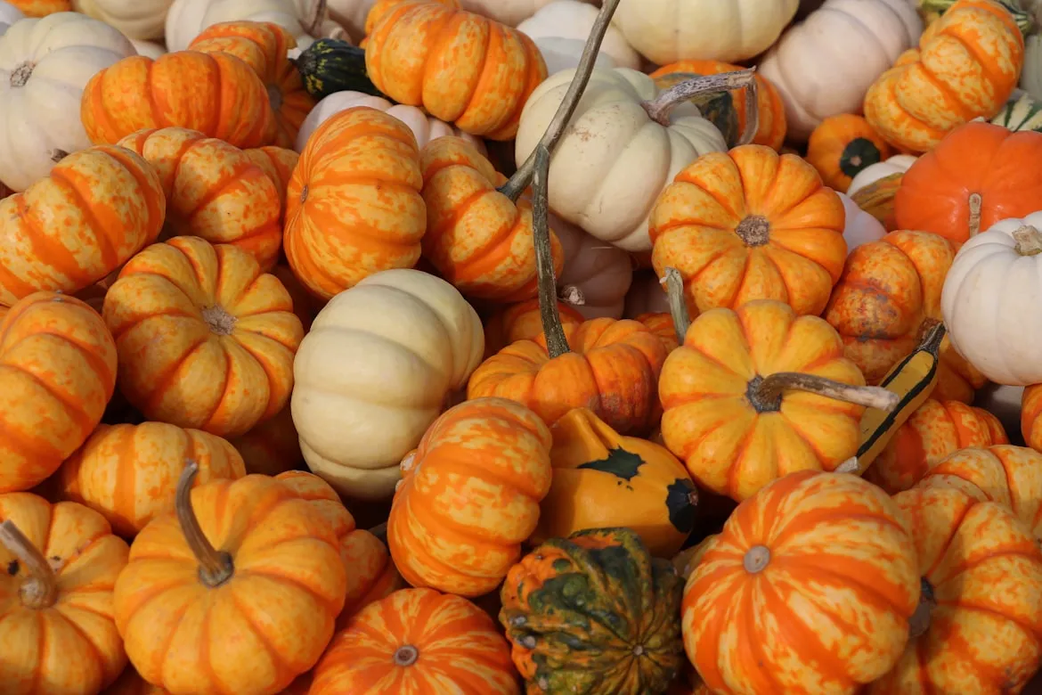 10 Things About Thanksgiving That Only Make Sense in the U.S.