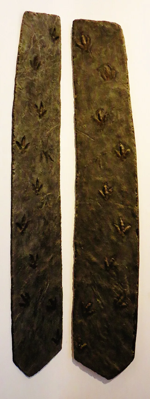 Ghedoghedo on Wikimedia Commons