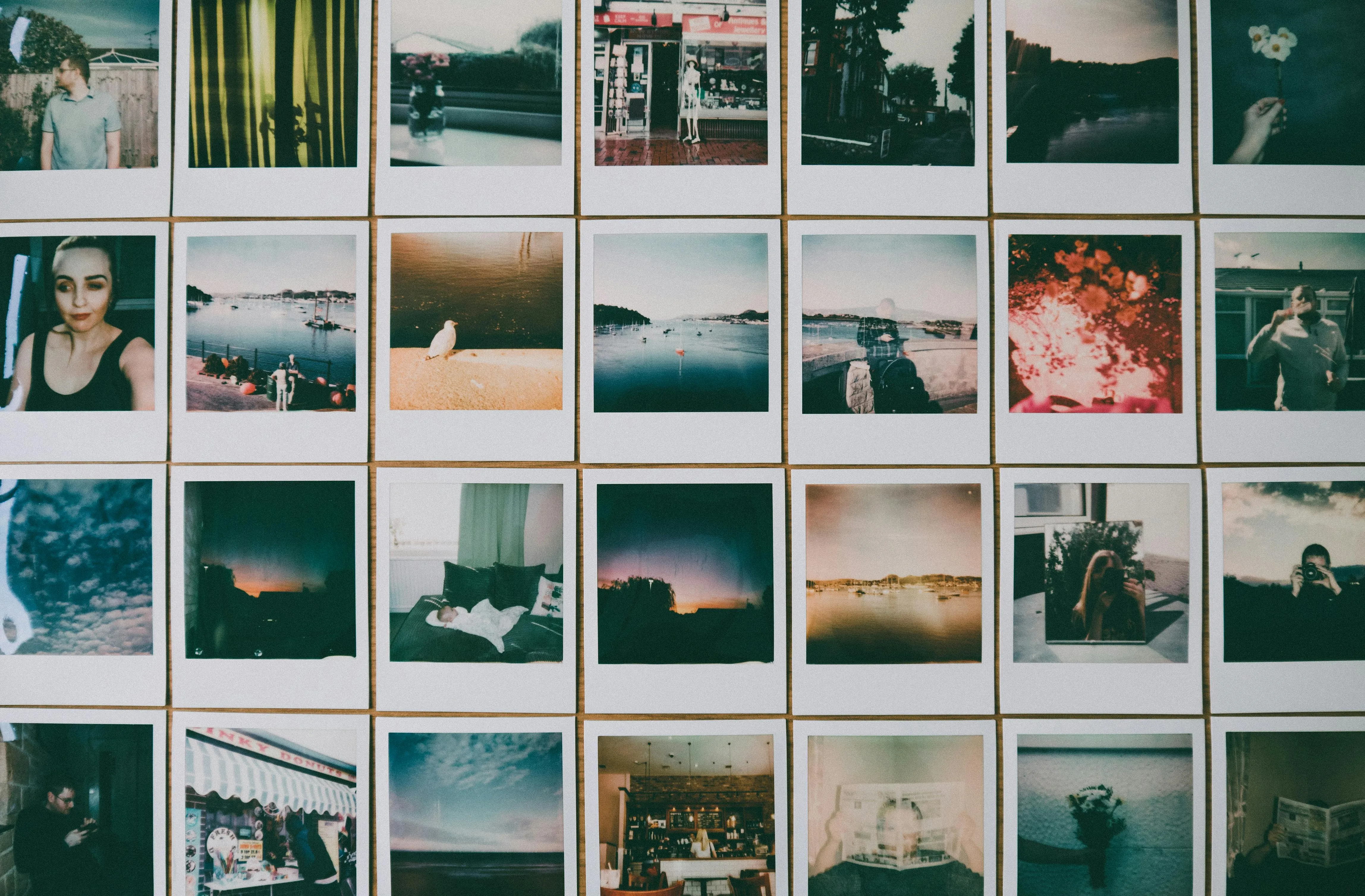 Lisa from Pexels on Pexels