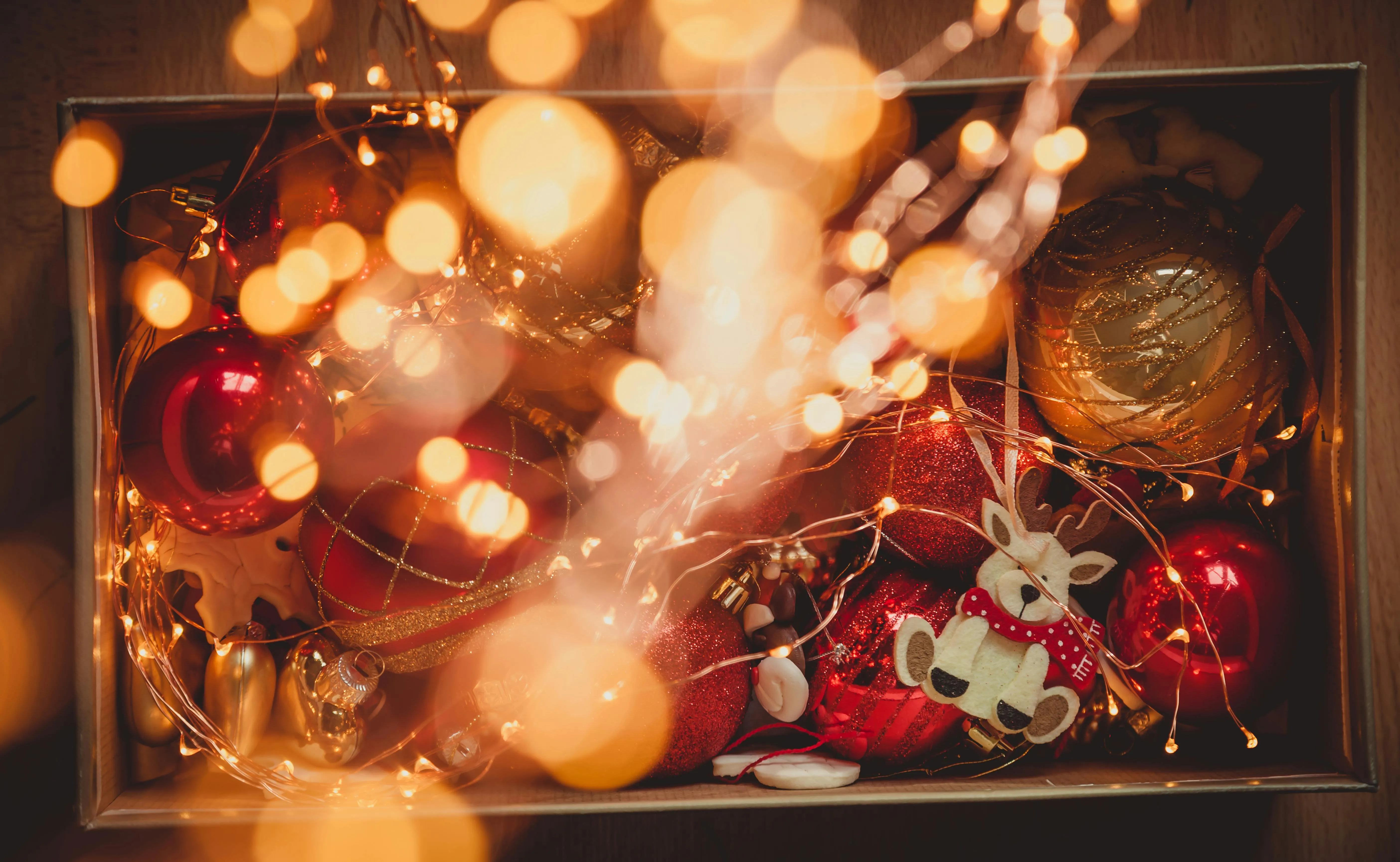 Peter Fazekas on Pexels
