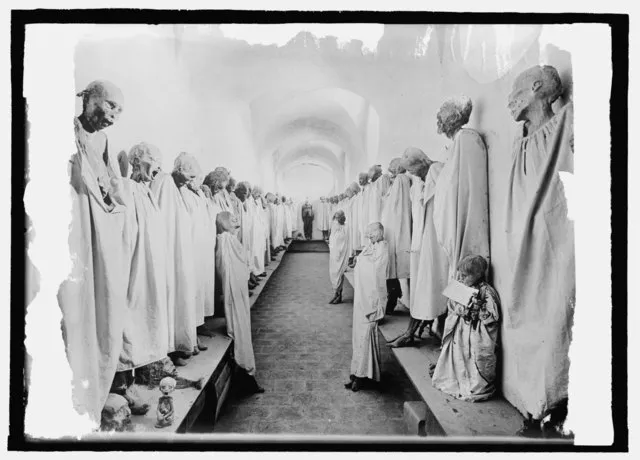 National Photo Company Collection on Wikimedia Commons